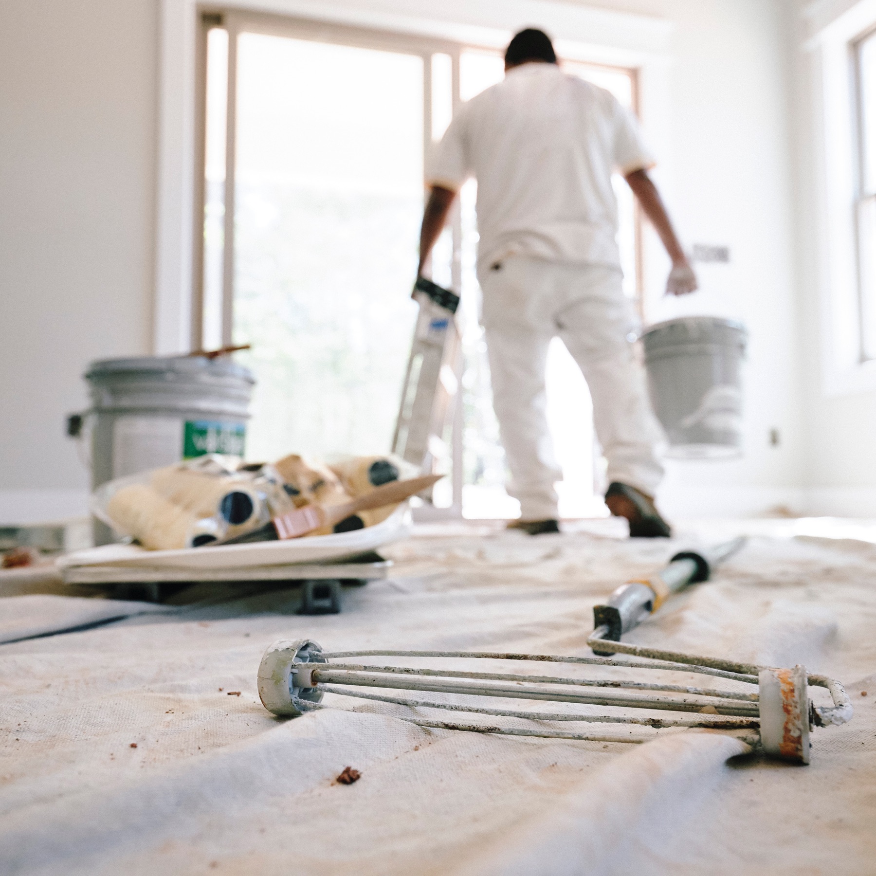 Paint Pro in white carrying ladder and paint. Empty roller, paint tray, brush, roller covers and paint can sit on drop cloth.