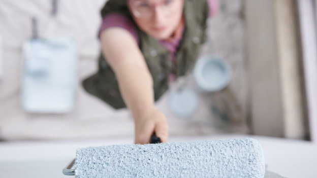paint brush roller cover